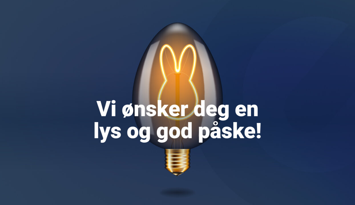 Elinett Paaske Banner