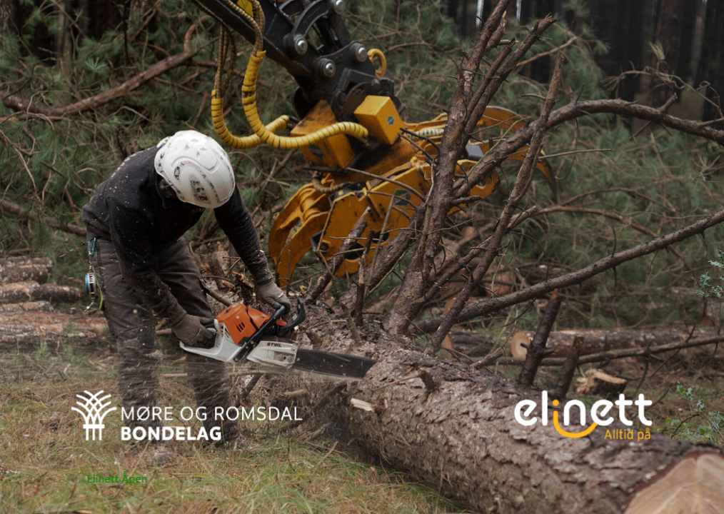 Trefellling forside brosjyre