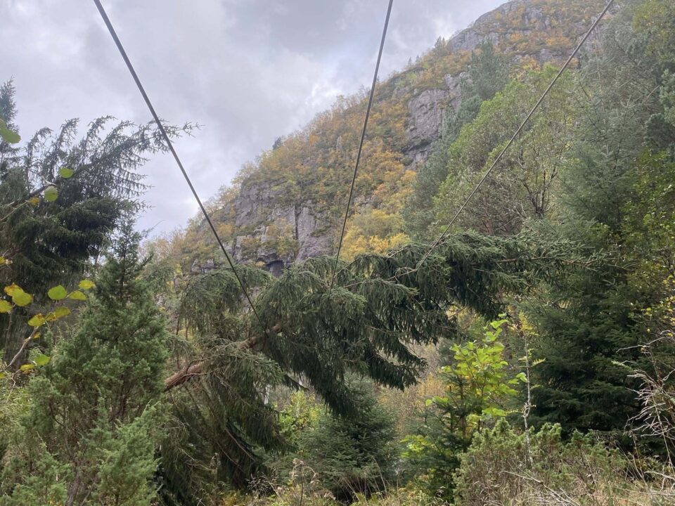 557602121 1359246749535151 4621852230574845573 n